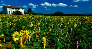 Regione Toscana: Legge urbanistica: approvato il regolamento di attuazione per il territorio rurale
