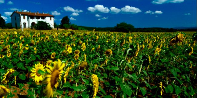 Regione Toscana: Legge urbanistica: approvato il regolamento di attuazione per il territorio rurale