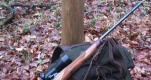 Caccia, tariffe e nuove modalità per i non residenti in Toscana