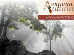 I tesori dell’Amiata in mostra con AmiatAutunno