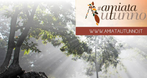 I tesori dell’Amiata in mostra con AmiatAutunno
