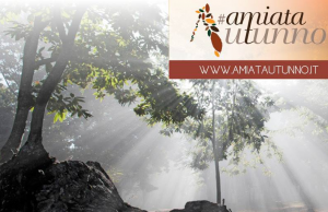 I tesori dell’Amiata in mostra con AmiatAutunno