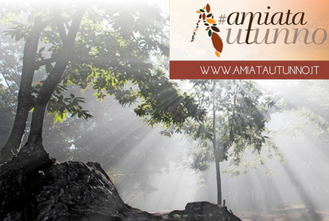 I tesori dell’Amiata in mostra con AmiatAutunno