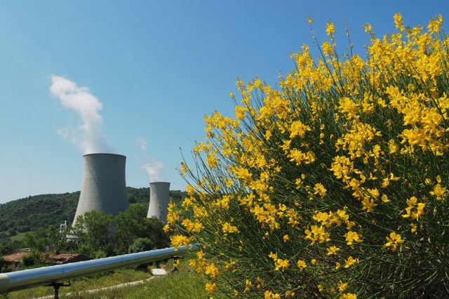 Lavoro in Valdicecina: Un protocollo d'intesa per rilanciare l'area
