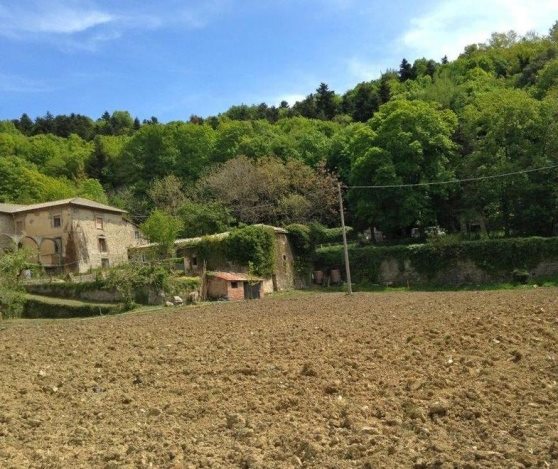 Agricoltura a Santa Fiora: Recupero di una coltivazione e di un’area