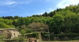 Agricoltura a Santa Fiora: Recupero di una coltivazione e di un’area