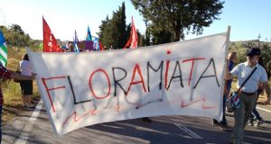 Lavoro: Floramiata in attesa, si cercano acquirenti