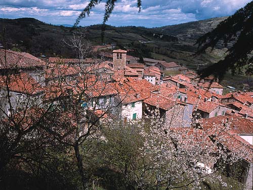 Teleriscaldamento a Montieri, gli scioperi fanno slittare i termini