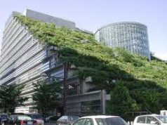 Verso il bonus al 65% per i giardini pensili