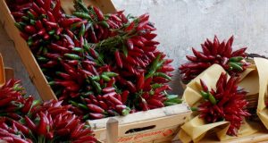 Salone del Gusto/Terra Madre: Anche i peperoncini dell’Amiata a Torino