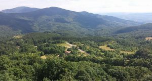 Lavoro: Coop La Boscaglia, il punto della situazione