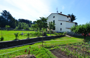 Dall’Amiata a Torino: quando il cibo diventa consapevolezza