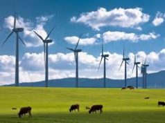 Eolico Usa evita emissioni di CO2 equivalenti a 20 milioni di auto