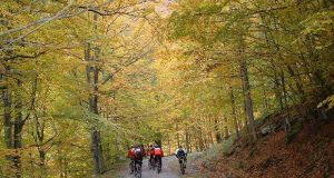 Ciclovie toscane, tre incontri per approfondire opportunità di sviluppo turistico