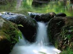 «Geotermia: nessun pericolo per la salute»