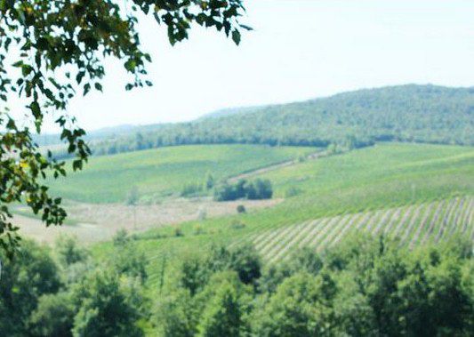 Unione Comuni Amiata Valdorcia, pubblicato bando