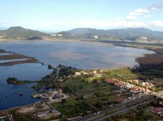 La geotermia toscana potrebbe aiutare la fitodepurazione del lago di Massaciuccoli?