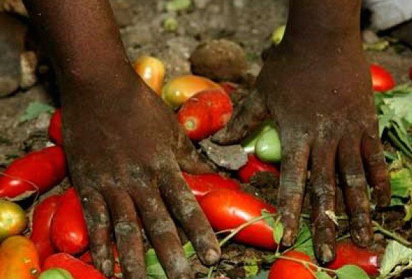 Agricoltura: Pronti a contrastare il caporalato