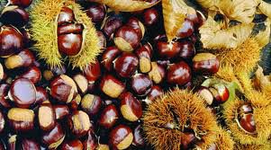 Turismo Amiata: Tra gusto e tradizione prosegue #AmiataAutunno
