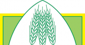 Il vino toscano vola nel mondo