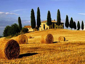 Valdelsa: Il matrimonio da favola si fa in Valdelsa