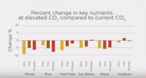 Il cambiamento climatico sta rendendo il nostro cibo meno nutriente