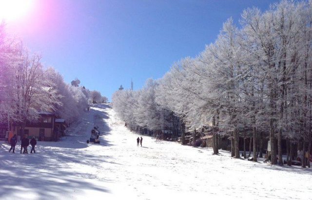 Amiata: 'Arrivare presto ad un rilancio dell'area'