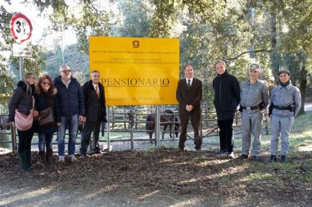 Radicondoli: Anche i cavalli vanno in pensione
