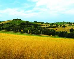 Paesaggio, approvato regolamento per il Garante della comunicazione