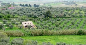 Paesaggio, Rossi: “Incentivare recupero casali abbandonati per tutelare la bellezza toscana”
