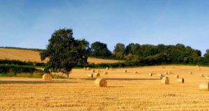 GiovaniSì: Formazione professionale in agricoltura