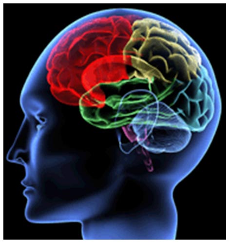 Ictus, gli ospedali della Asl Toscana centro e Careggi in rete per intervenire con tempestività