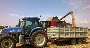 Agricoltura: L’identikit della pasta sull’etichetta