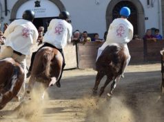 Castel del Piano. Palio: 13 i cavalli iscritti alle batterie.