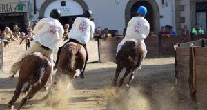 Castel del Piano. Palio: 13 i cavalli iscritti alle batterie.