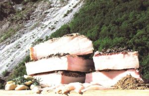 I tesori agroalimentari toscani sono nei piccoli comuni