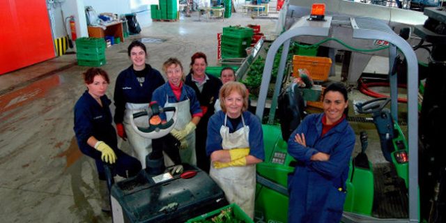 Lavoro: Aree di crisi, prorogati gli incentivi all'occupazione