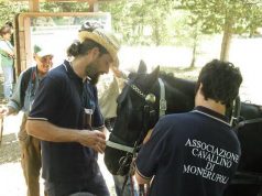 Pomarance: Successo per la quinta rassegna del Cavallino di Monterufoli