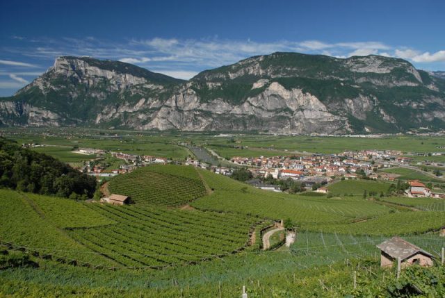 Arriva il nuovo master in Comunicazione della natura e del paesaggio