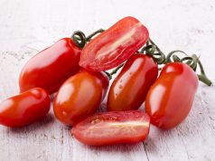 Un prezzo più equo per i pomodori toscani, contro i danni di un clima instabile
