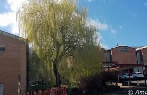 Abbadia S. Salvatore. “La geotermia e le altre fonti energetiche rinnovabili”, corso gratuito di Sorgenia all’Avogadro