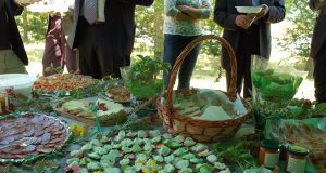 I prodotti ‘geotermici’ a teatro e per gli anziani