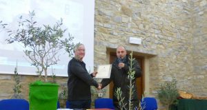 Monteverdi M.mo: L’olio buono dei poderi