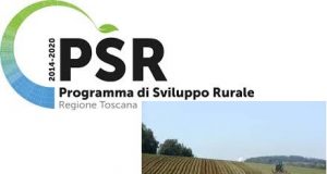 Bando da 15 milioni, arrivano i contributi per 57 imprese agricole e agroalimentari