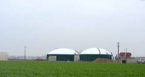 Biogas, doppie colture enorme potenziale per produzione sostenibile