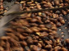 Amiata. #AmiatAutunno, un viaggio tra gusto e tradizione in una Toscana ancora tutta da scoprire