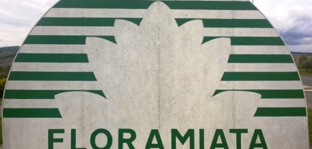 Piancastagnaio. Floramiata: si attende l’ultima asta.