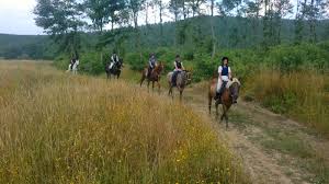 Turismo, Montieri: Iscrizioni aperte per i campi estivi in inglese