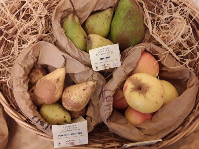 Agrobiodiversità, ad Alberese torna la 'Mostra Mercato del Coltivatore Custode'