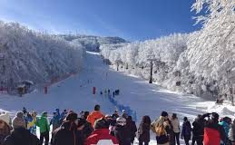 Turismo, Amiata: La stazione invernale avrà un solo gestore